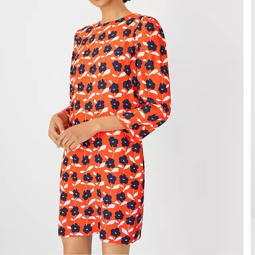 Ann Taylor Orange Floral Shift Dress with Navy Accents